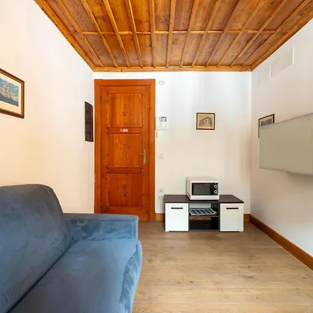Attic Historic Building With Air Conditioning 公寓