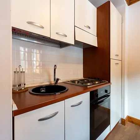 Attic Historic Building With Air Conditioning Apartament